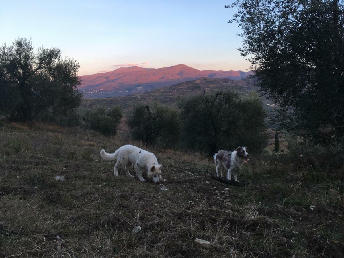 La Banditaccia Monticello Amiata Exterior foto